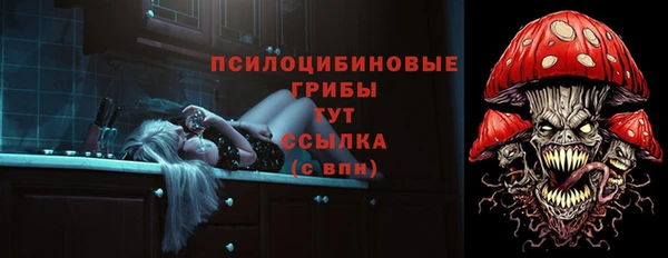 дмт Нефтегорск