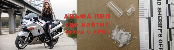 хмурый Нефтекумск