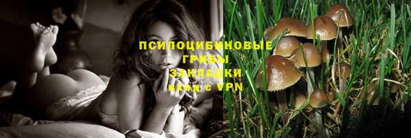 дмт Нефтегорск