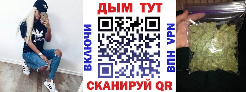 kraken как войти  где купить наркоту  Сасово  Канабис конопля 